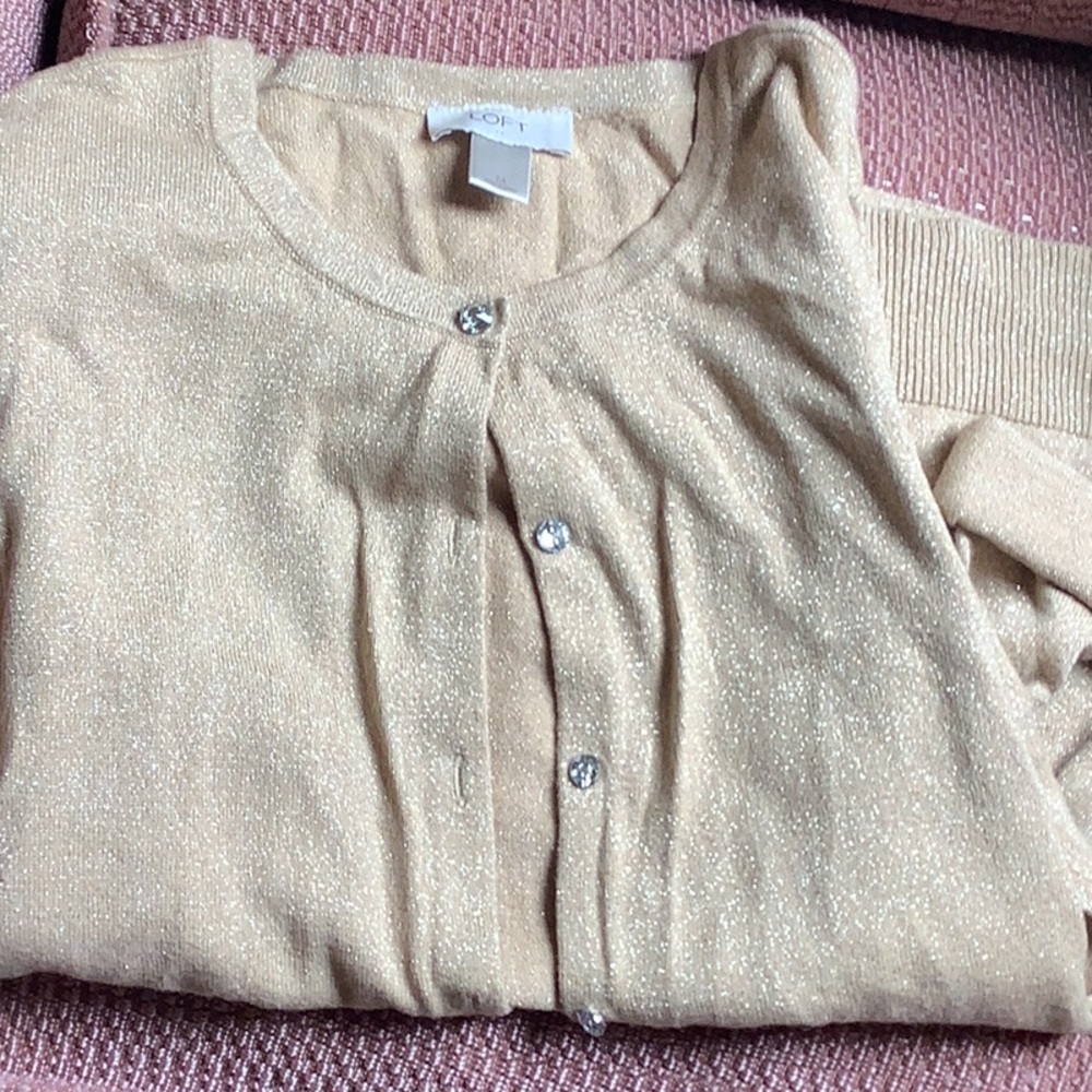 Ann Taylor Loft Cardigan